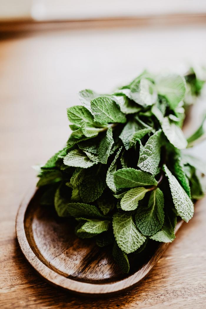 Menta
